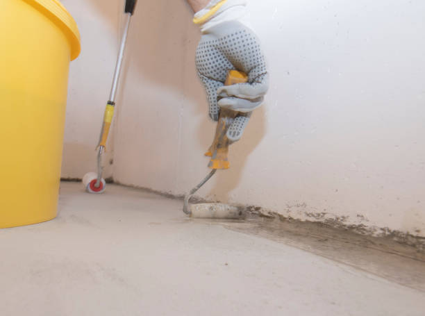 Best Pest Prevention Services  in Weldon Spring, MO